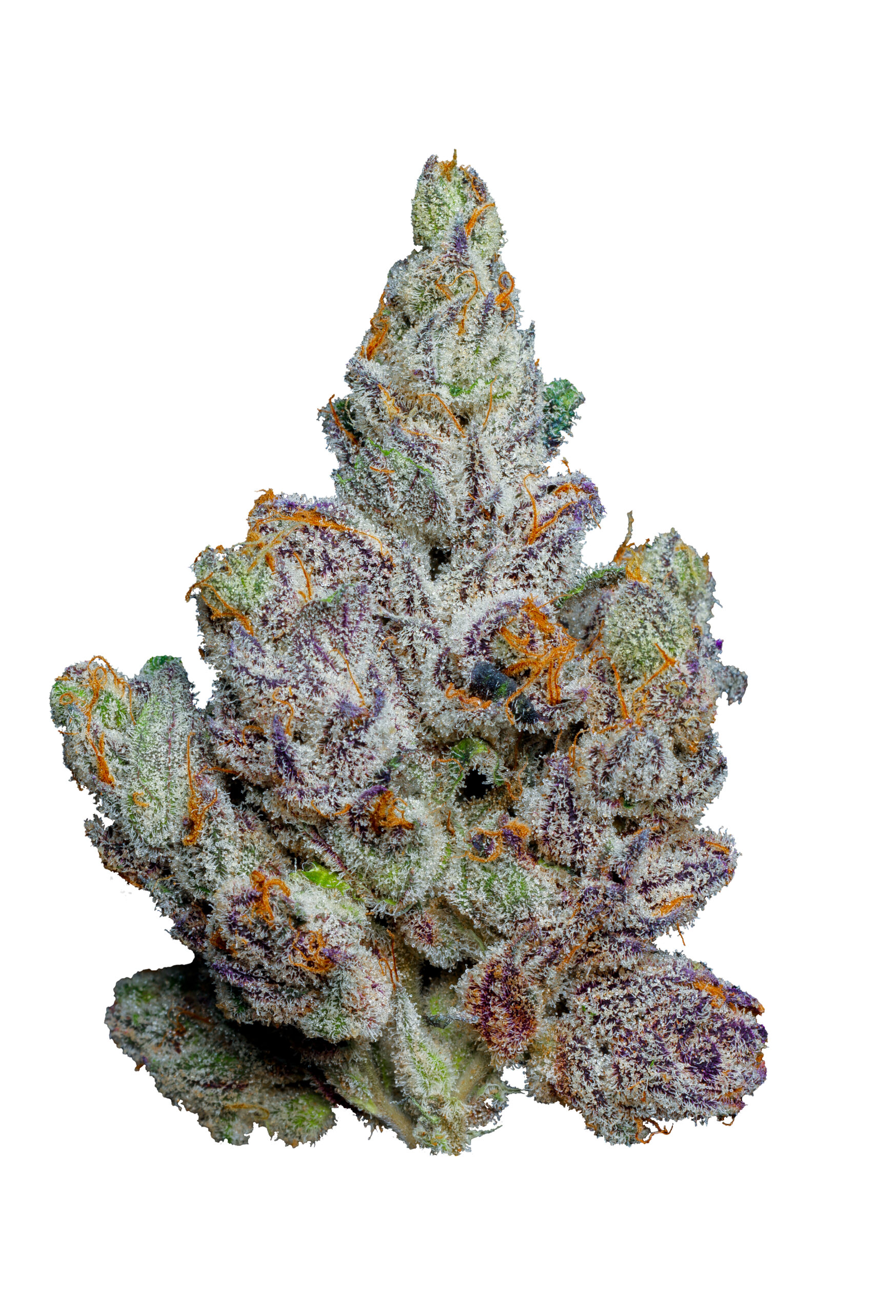 Hawaiian Ice