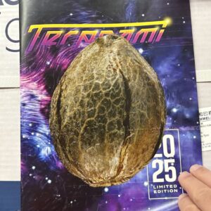 Terpnami magazine cover.